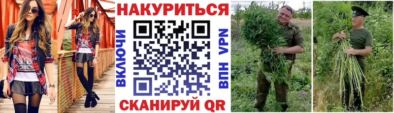 mega   Южа  Канабис марихуана 